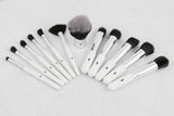 FREE SHIPPING:: 12 Piece Brush Set